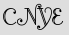 Security Captcha