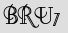 Security Captcha