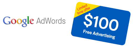 $100 Google Adwords credit